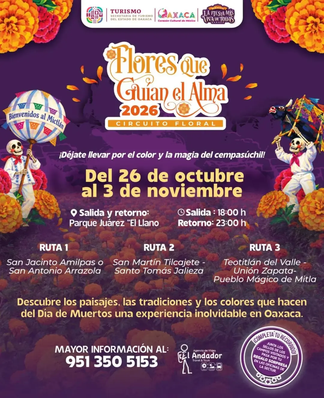 How to get to the cempasúchil fields for Day of the Dead Oaxaca 2026