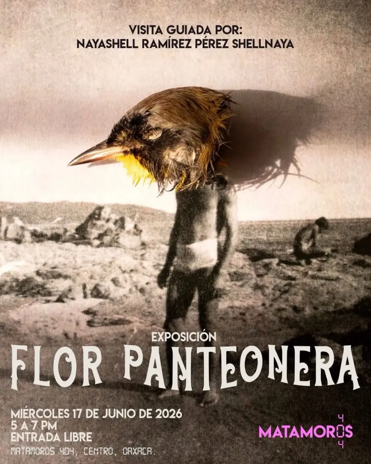 Flyer del evento: Exposición Flor Panteonera