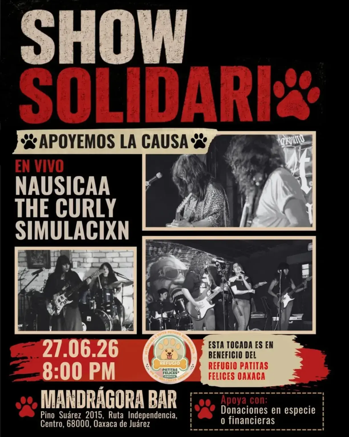 Flyer del evento: Show Solidario