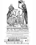 Ru, Ru, Ru Camaleón de Elisa Ramírez Castañeda
