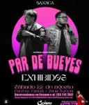 Par de Bueyes EXHIBIDOS