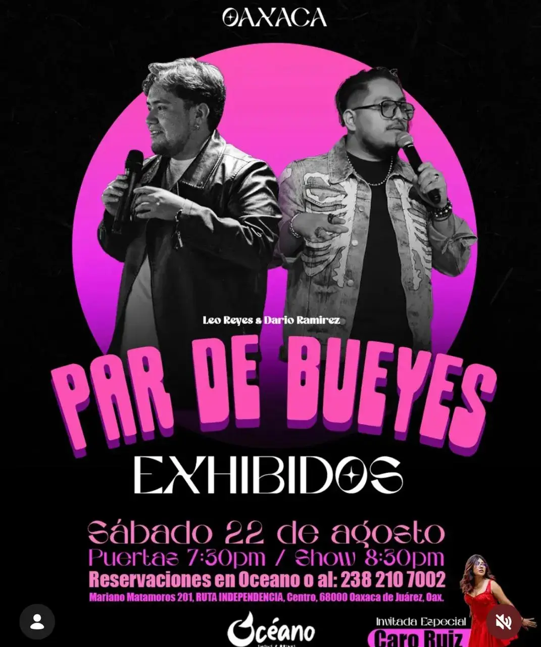Par de Bueyes EXHIBIDOS