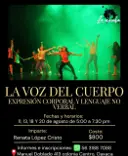La Voz del Cuerpo: Expresión Corporal y Lenguaje No Verbal