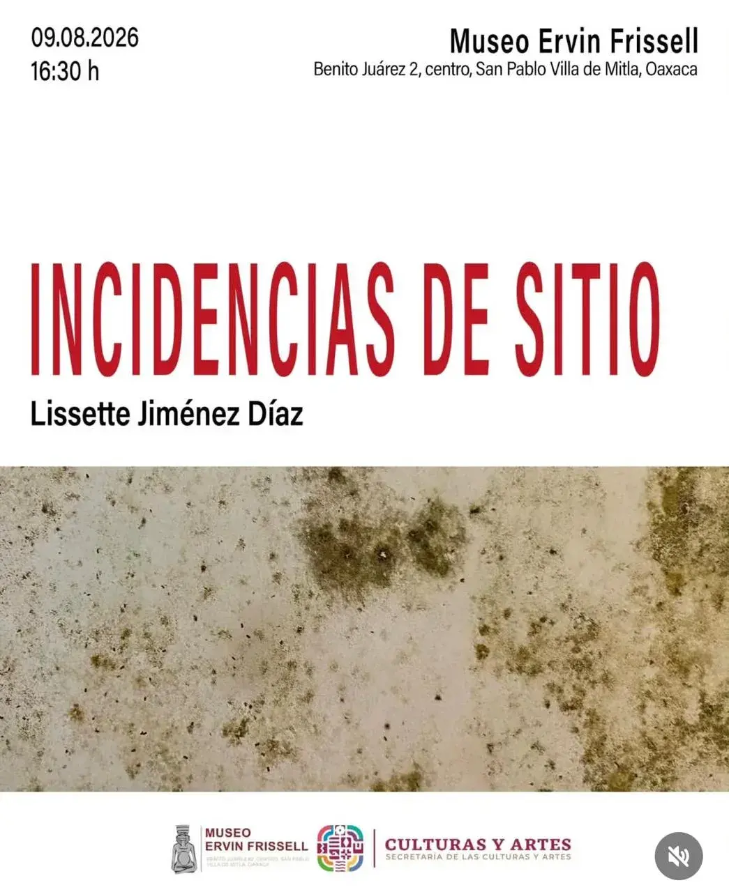 Flyer del evento: INCIDENCIAS DE SITIO