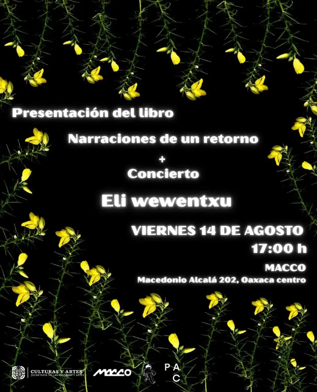 Presentación del libro Narraciones de un retorno + Concierto Eli wewentxu