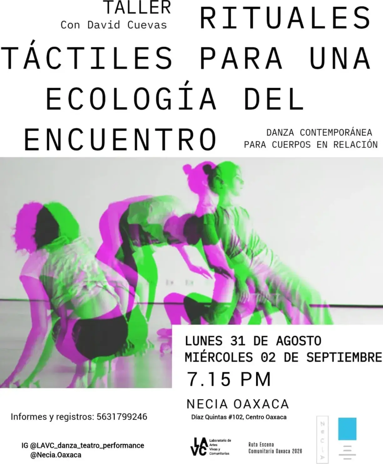 Taller: Rituales Táctiles para una Ecología del Encuentro