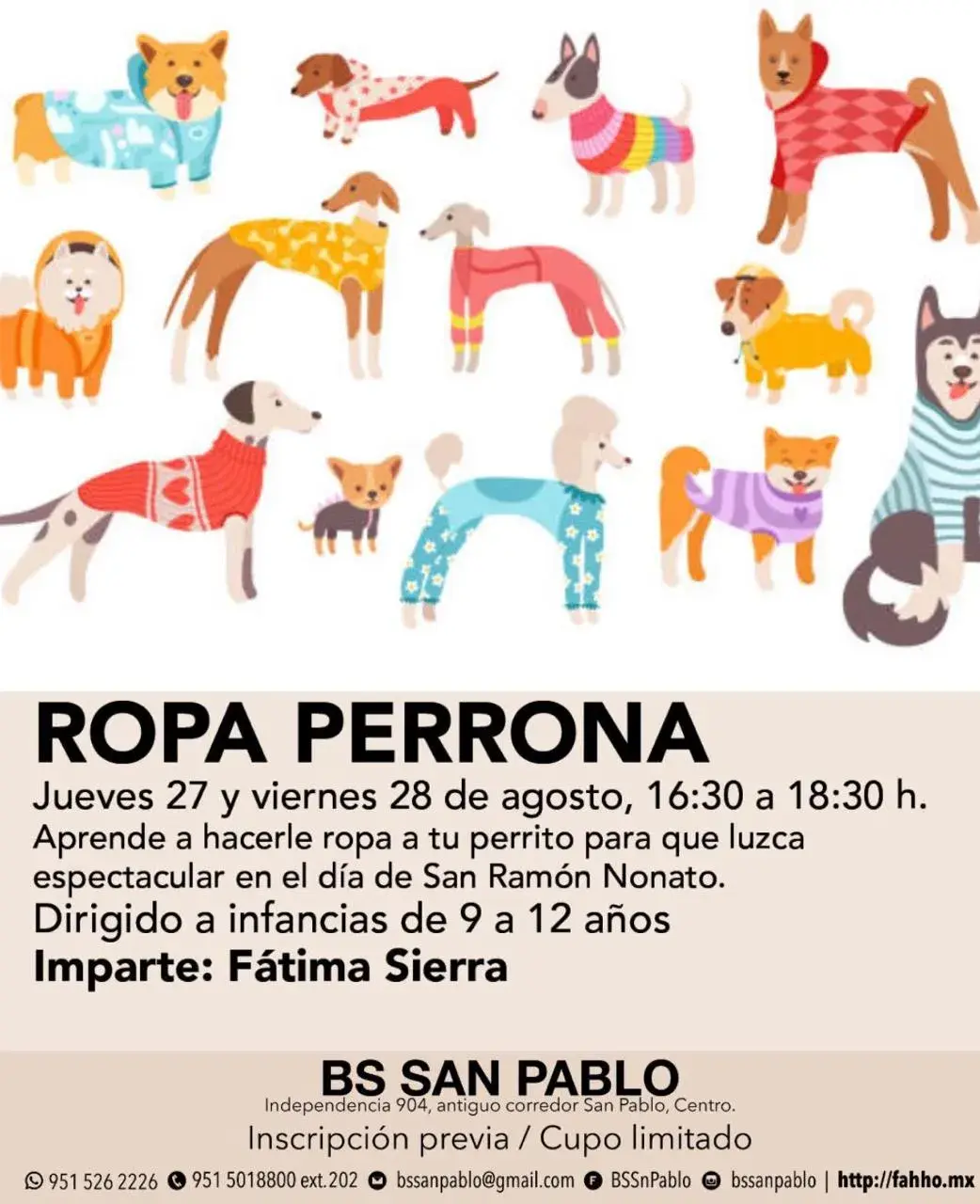 Flyer del evento: ROPA PERRONA