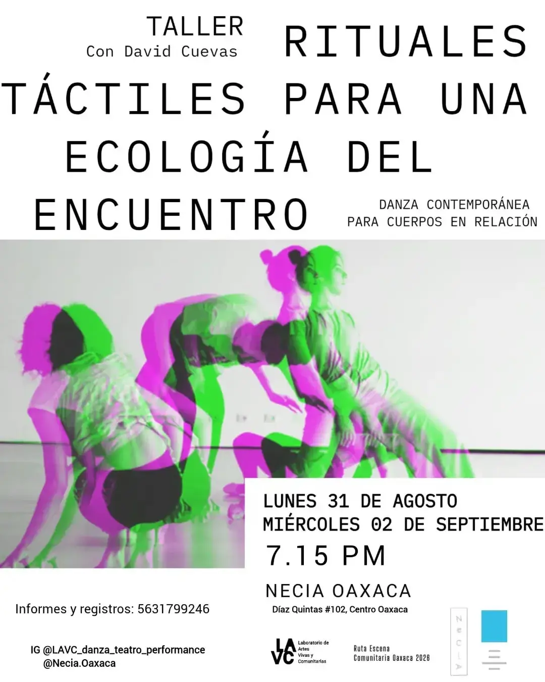 TALLER RITUALES TÁCTILES PARA UNA ECOLOGÍA DEL ENCUENTRO