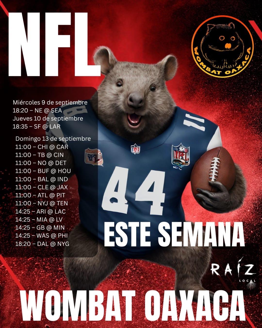 NFL week 1 Sunday fun!