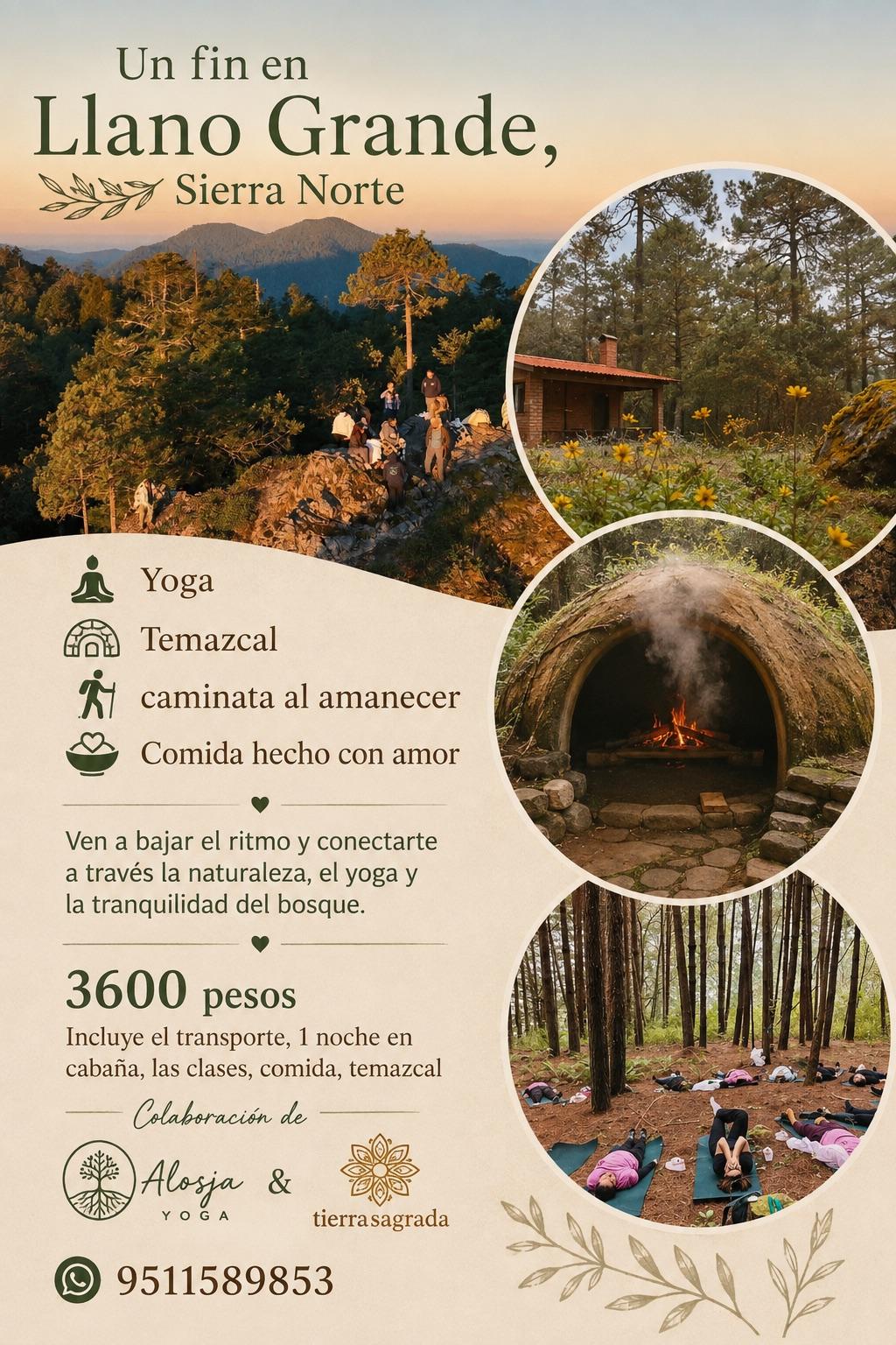 Un fin en Llano Grande, Sierra Norte