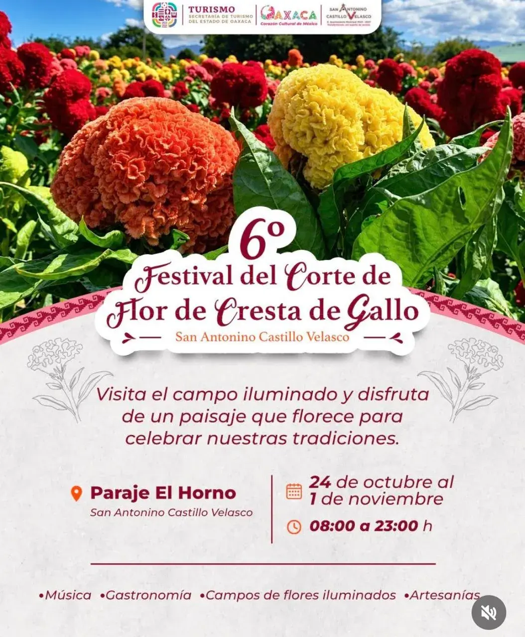 6º Festival del Corte de Flor de Cresta de Gallo