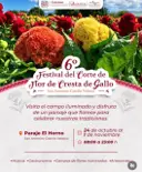6º Festival del Corte de Flor de Cresta de Gallo