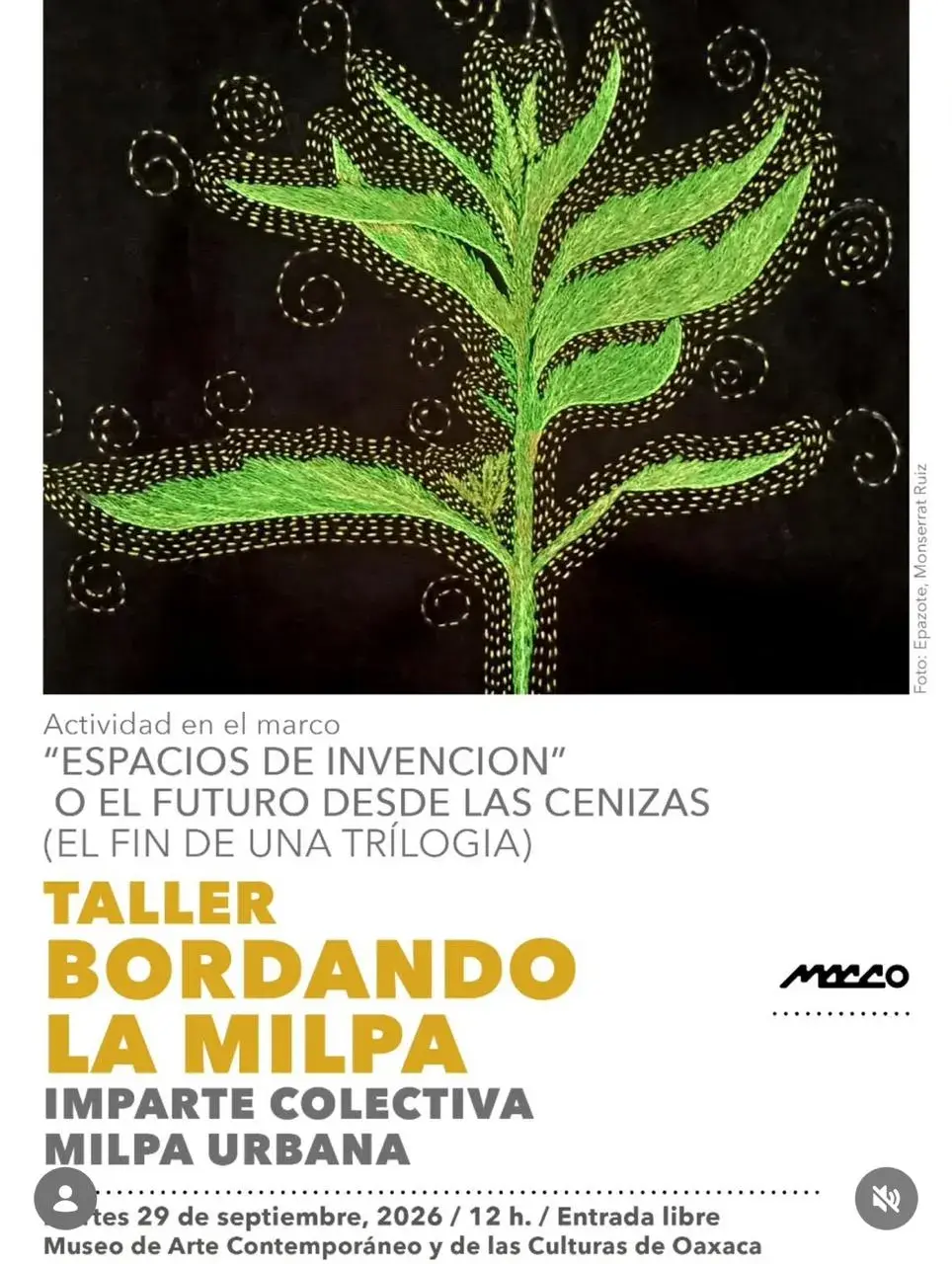 TALLER BORDANDO LA MILPA