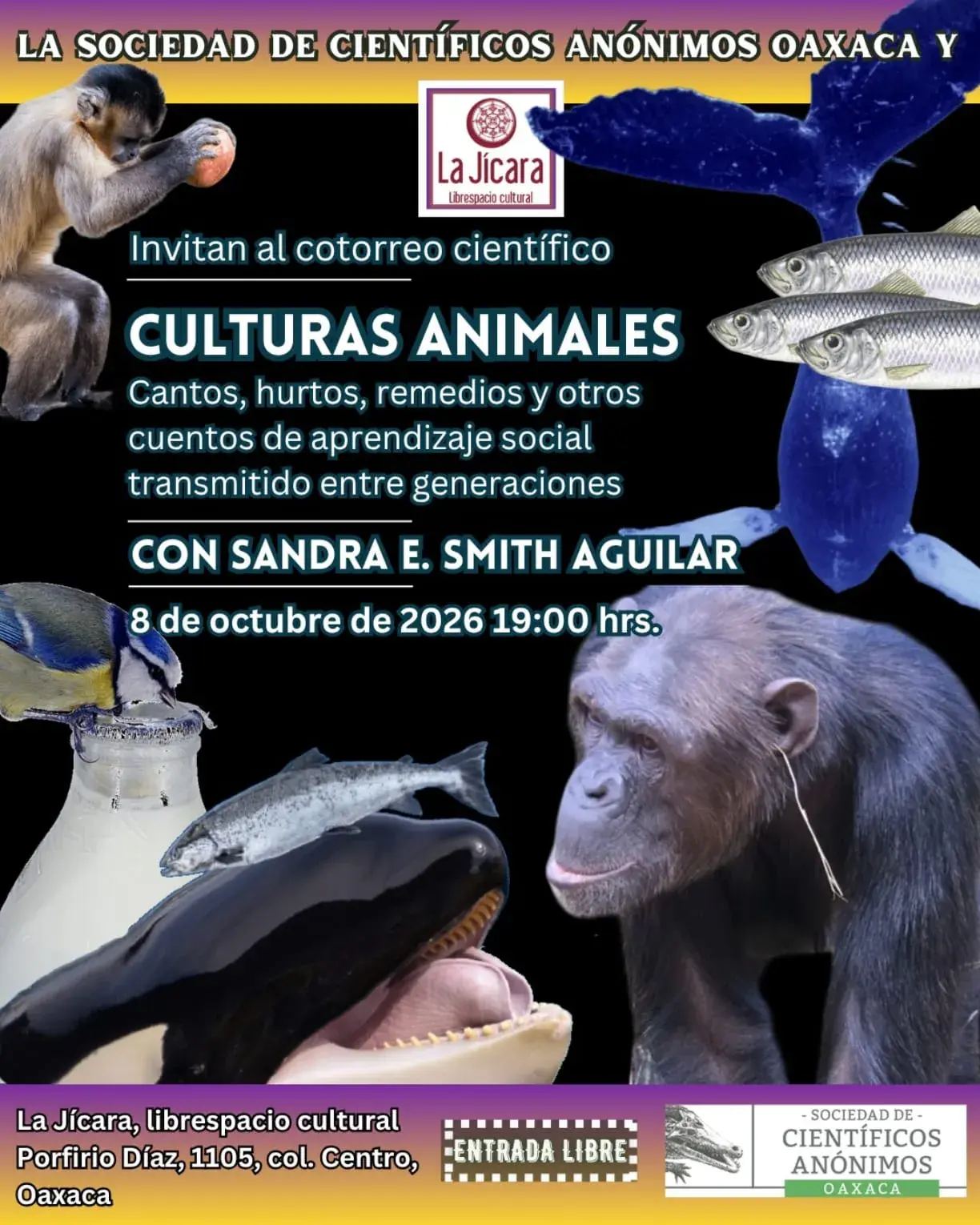 Flyer del evento: Culturas Animales