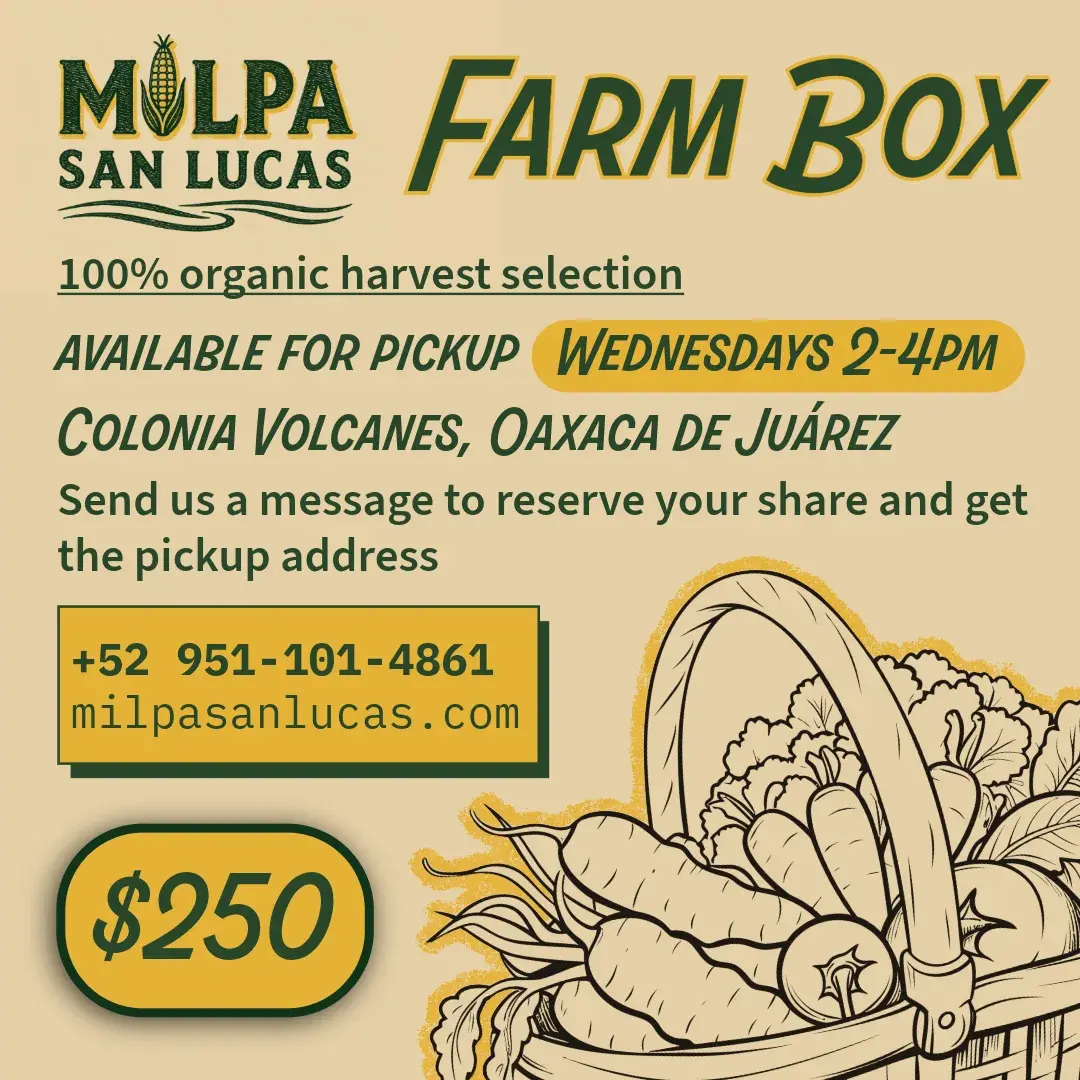 Milpa San Lucas Farm Box