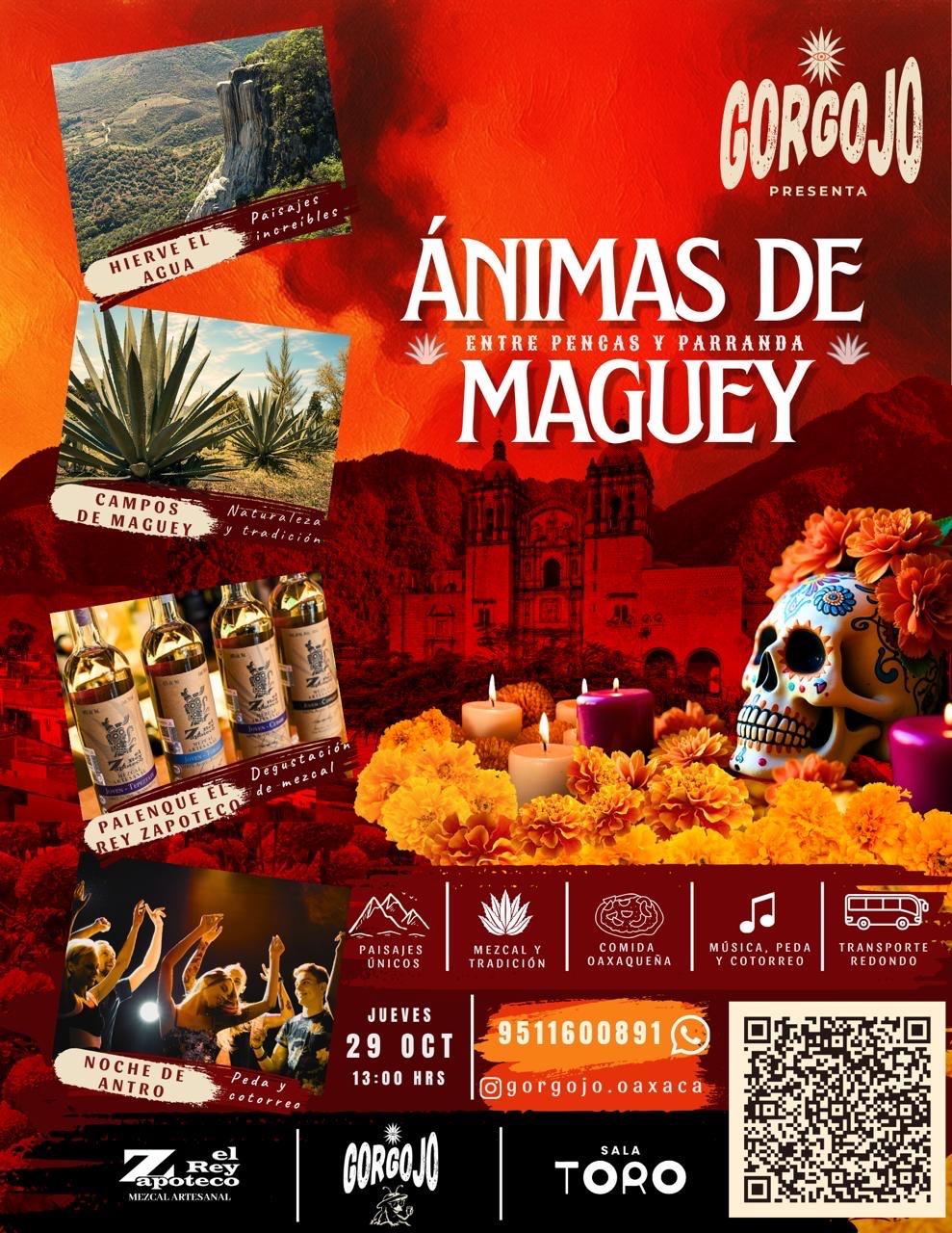 Spirits of Maguey