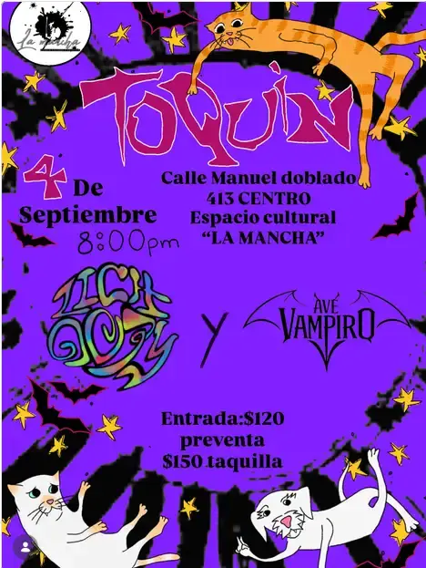 Flyer del evento: TOQUÍN