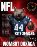 NFL week 1 Sunday fun!