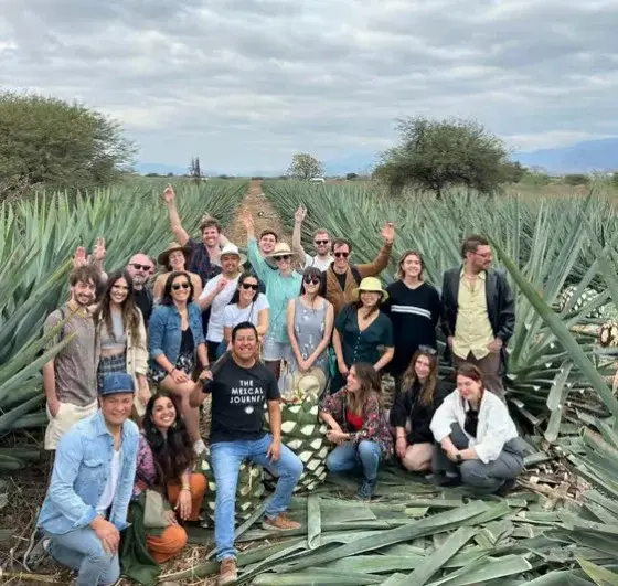 Experiencia de mezcal en campos de maguey, Oaxaca. Foto: GetYourGuide Experiencia de mezcal en campos de maguey, Oaxaca. Foto: GetYourGuide