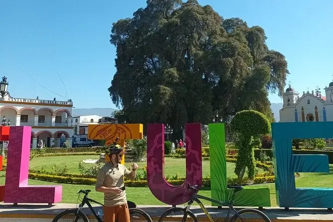 Tour en bicicleta al Árbol del Tule, Oaxaca. Foto: GetYourGuide Tour en bicicleta al Árbol del Tule, Oaxaca. Foto: GetYourGuide