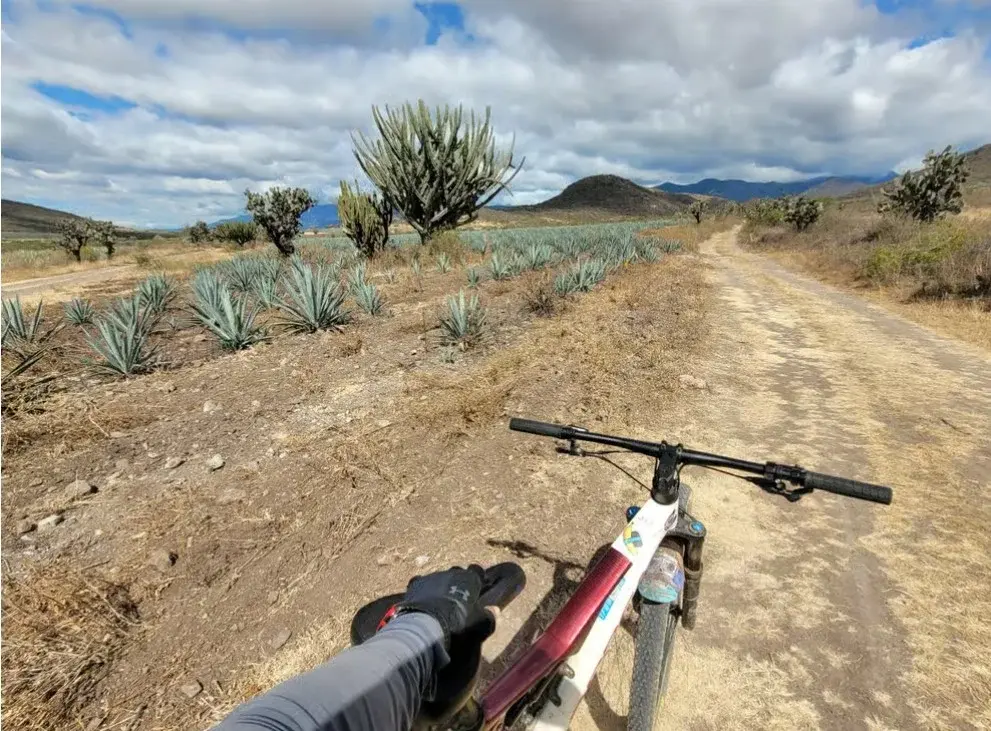 Bici de montaña entre magueyes en Oaxaca. Foto: GetYourGuide Bici de montaña entre magueyes en Oaxaca. Foto: GetYourGuide
