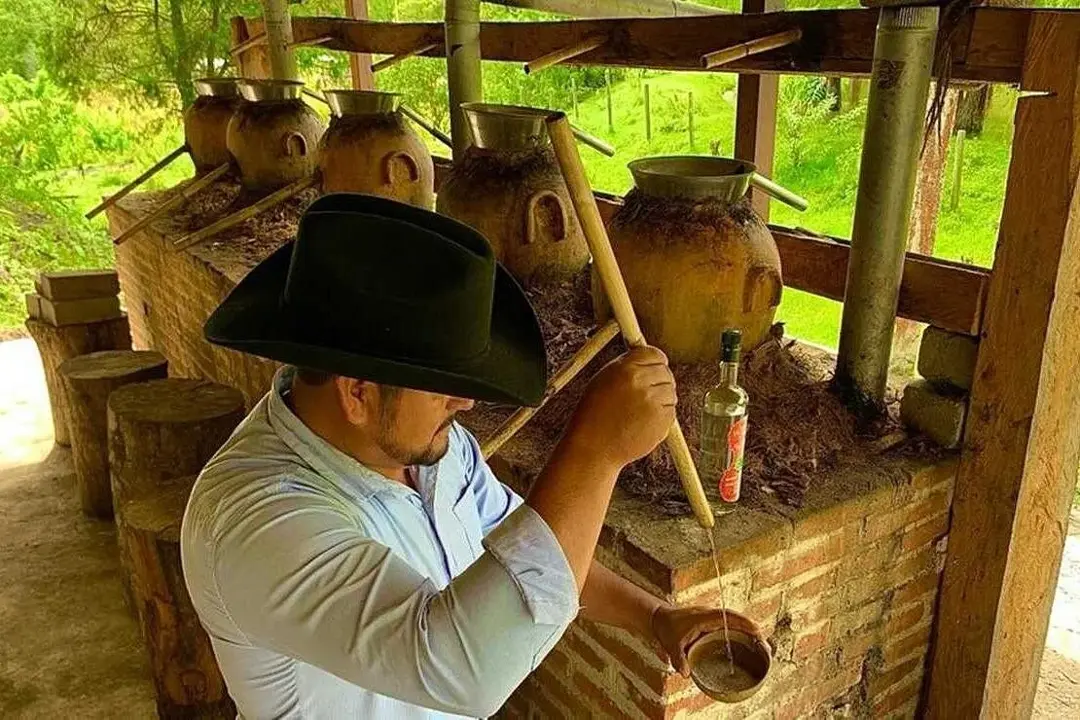 Monte Albán, mezcal and Cuilápam tour. Photo: Viator Monte Albán, mezcal and Cuilápam tour. Photo: Viator