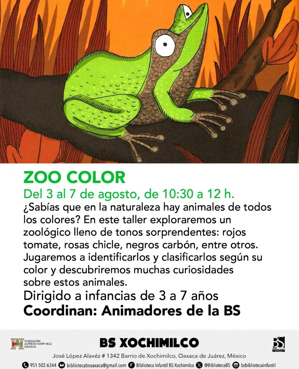 Flyer del evento: ZOO COLOR