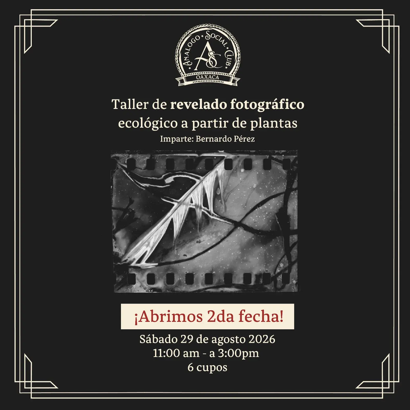 Taller de revelado fotográfico ecológico a partir de plantas