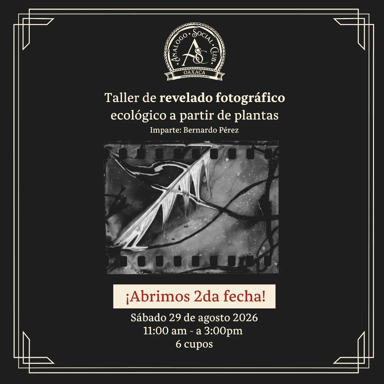 Taller de revelado fotográfico ecológico a partir de plantas