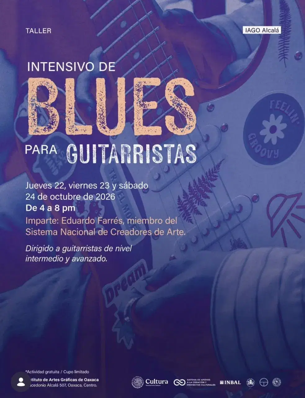 Intensive Blues Workshop for Guitarists