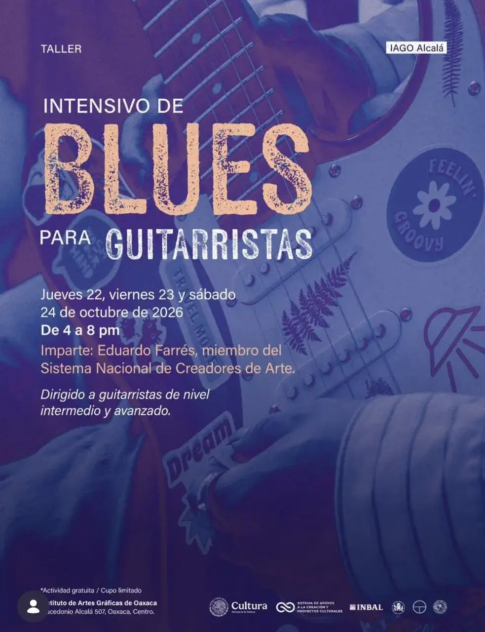 Intensive Blues Workshop for Guitarists