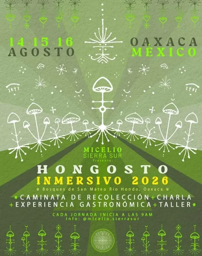 Flyer del evento: Micelio Sierra Sur: Festival de arte y micología