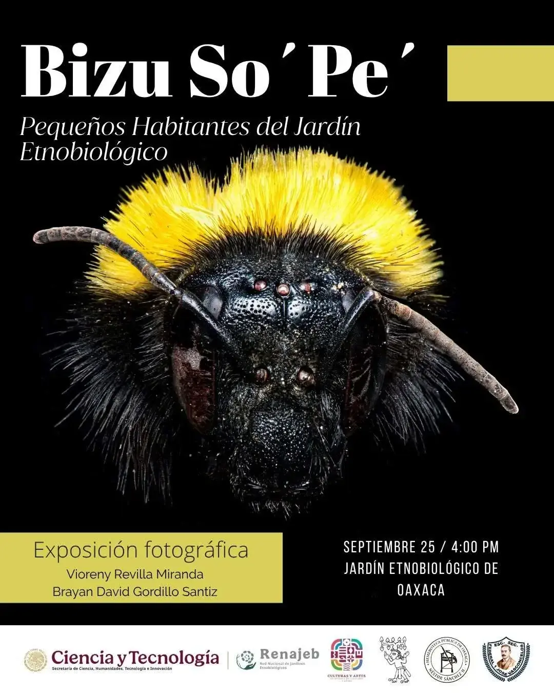 Flyer del evento: “Bizu So´Pe´: Pequeños Habitantes del Jardín Etnobiológico”