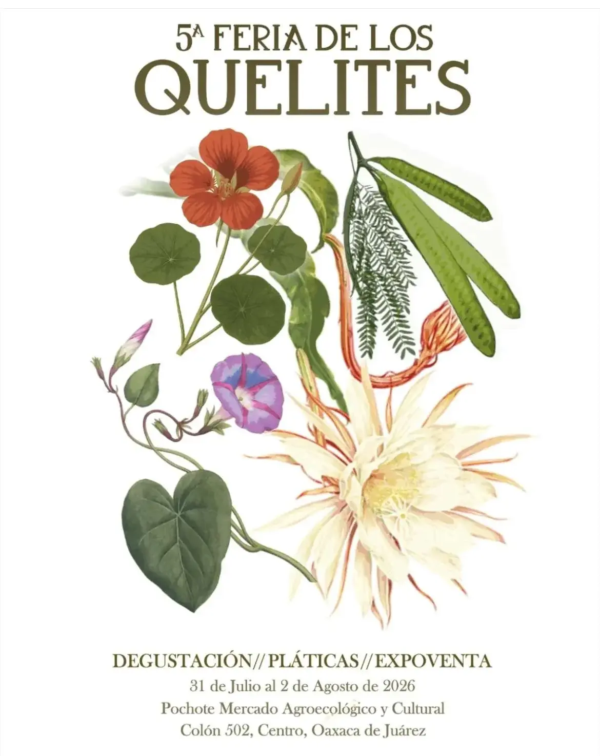 Flyer del evento: 5th Quelites Fair